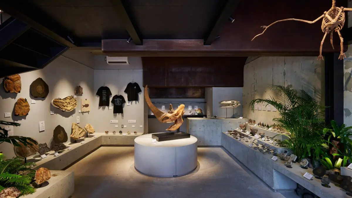 sirabee20250428kaerukaseki001