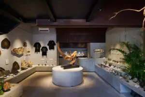 sirabee20250428kaerukaseki001