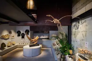 sirabee20250428kaerukaseki002