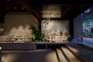 sirabee20250428kaerukaseki004