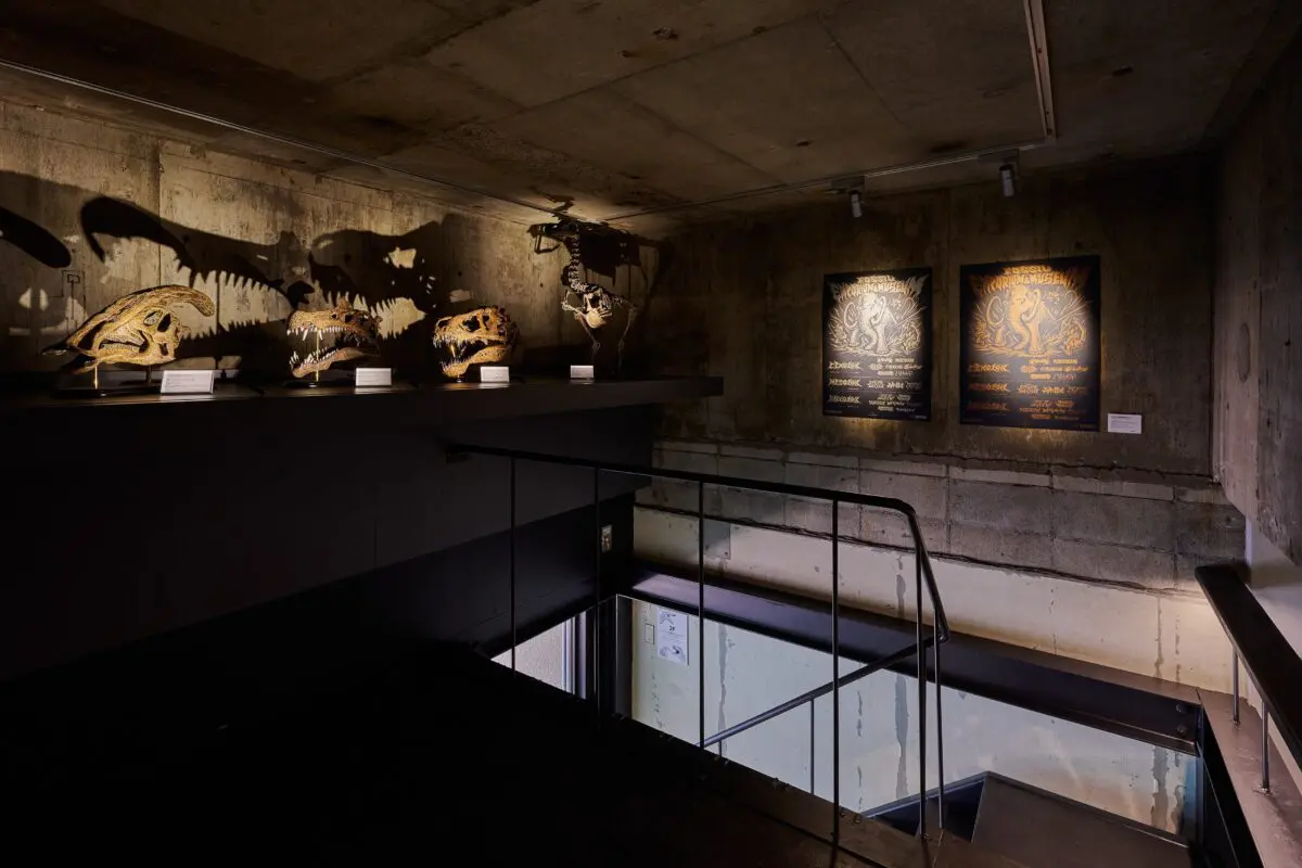 sirabee20250428kaerukaseki005