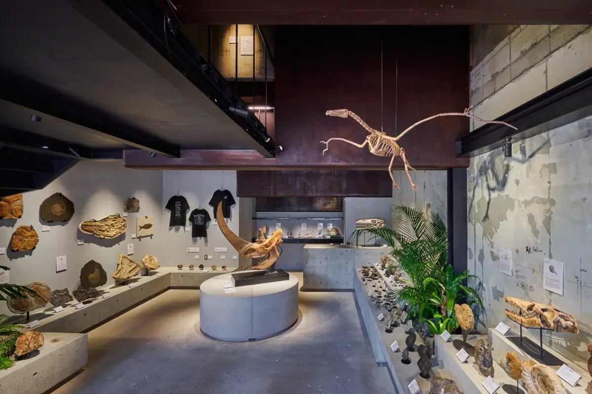 sirabee20250428kaerukaseki006