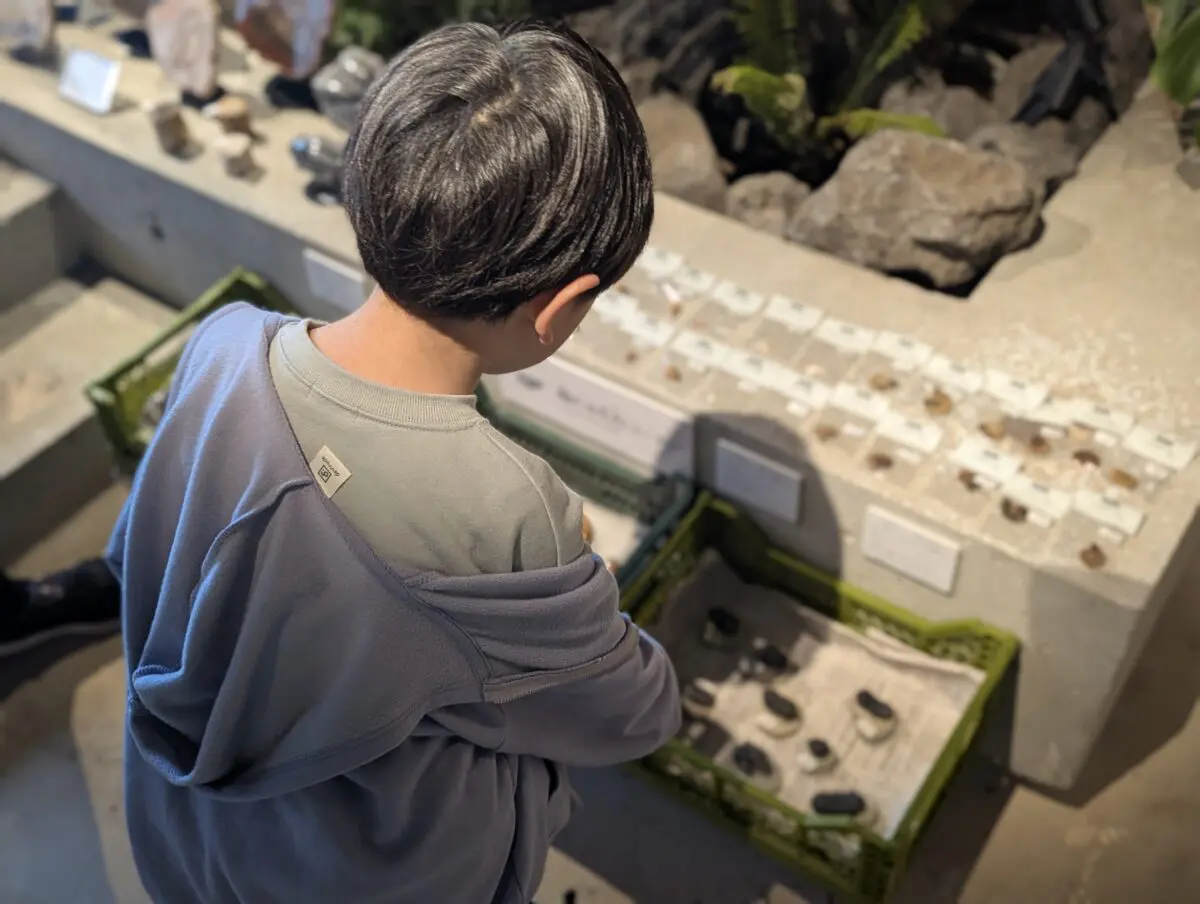 sirabee20250428kaerukaseki011