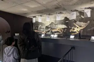 GWに子供と絶対行きたい！　福岡県『買える化石博物館』が最高すぎた