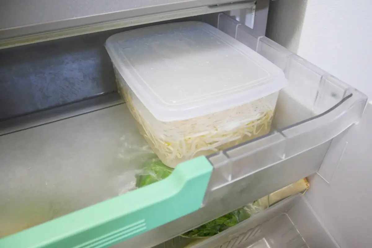 sirabee20250428moyashi3