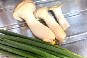 sirabee20250428nuta2