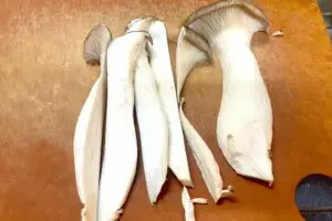 sirabee20250428nuta3