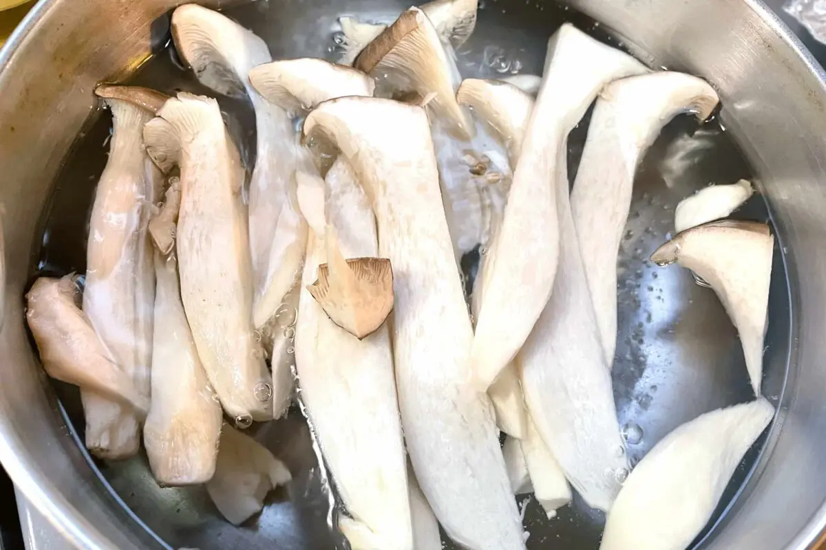 sirabee20250428nuta4