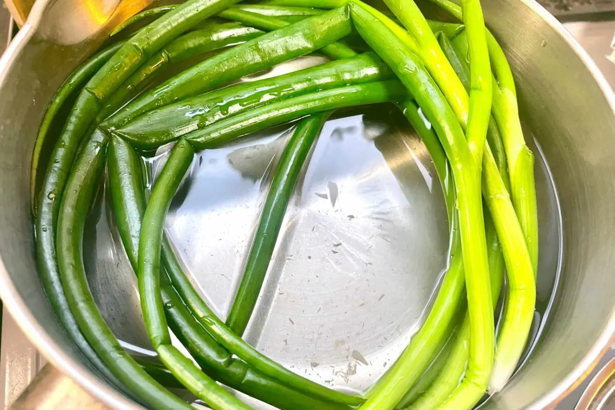 sirabee20250428nuta5