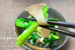 sirabee20250428nuta9