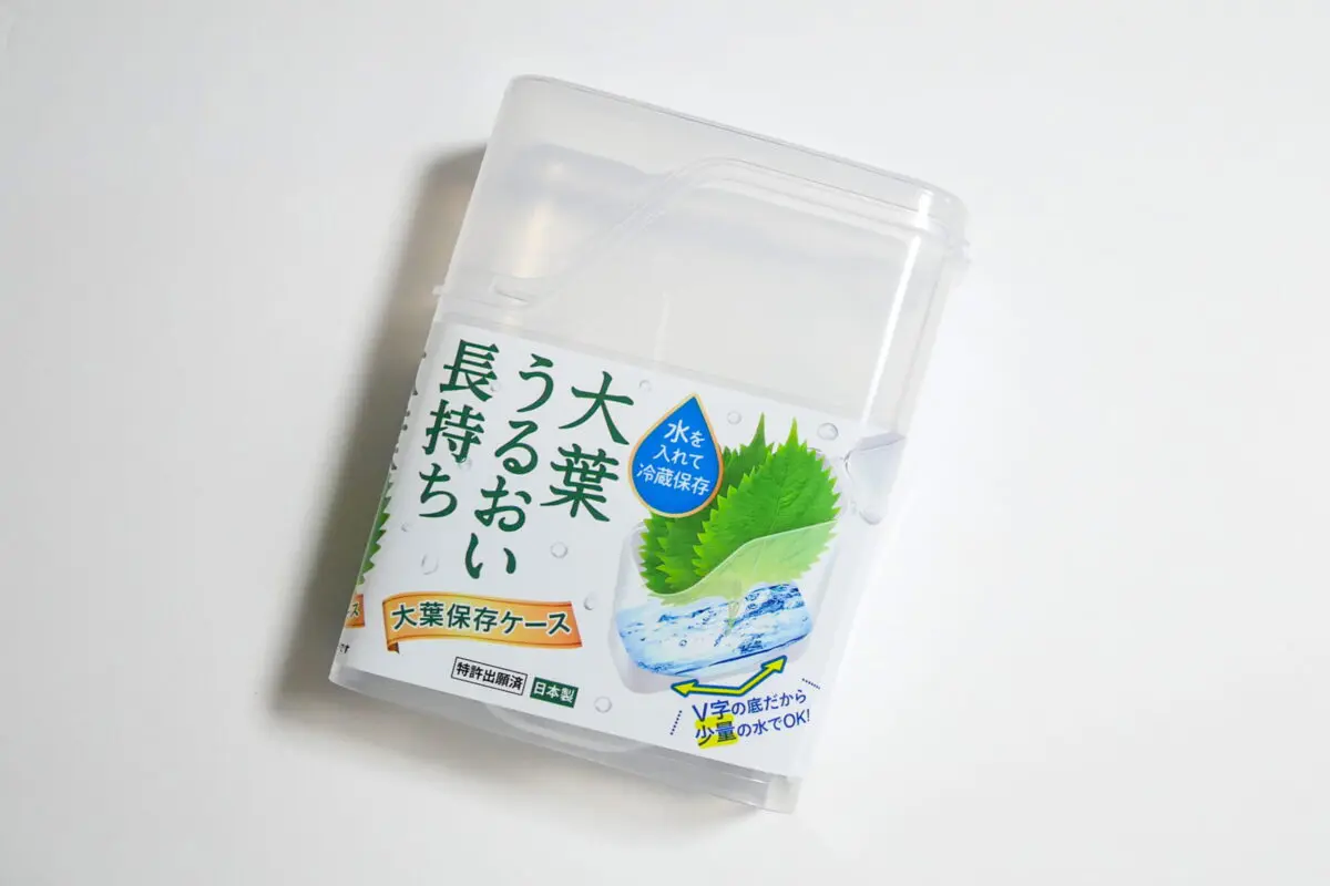 sirabee20250428shiso2