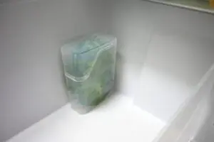 sirabee20250428shiso5