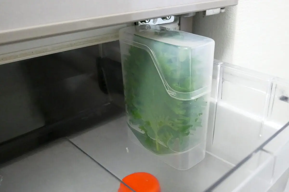 sirabee20250428shiso6