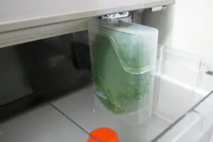 sirabee20250428shiso6