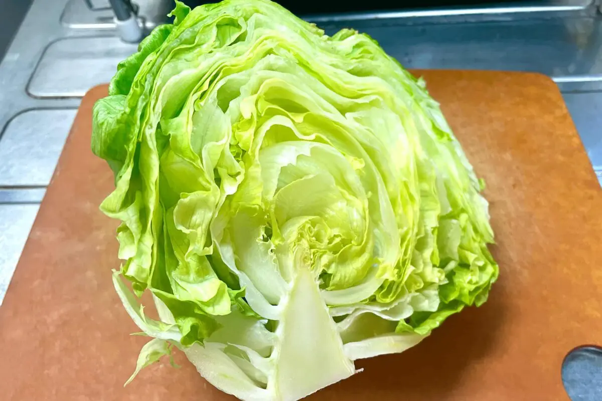 sirabee20250430lettuce1