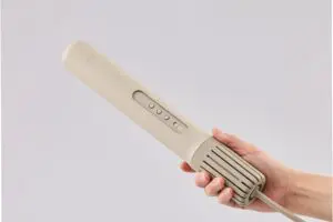 sirabee20250503foehn3