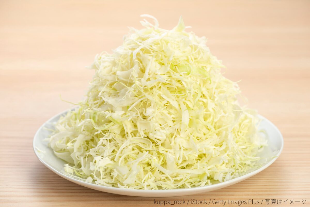 キャベツの千切り・サラダ