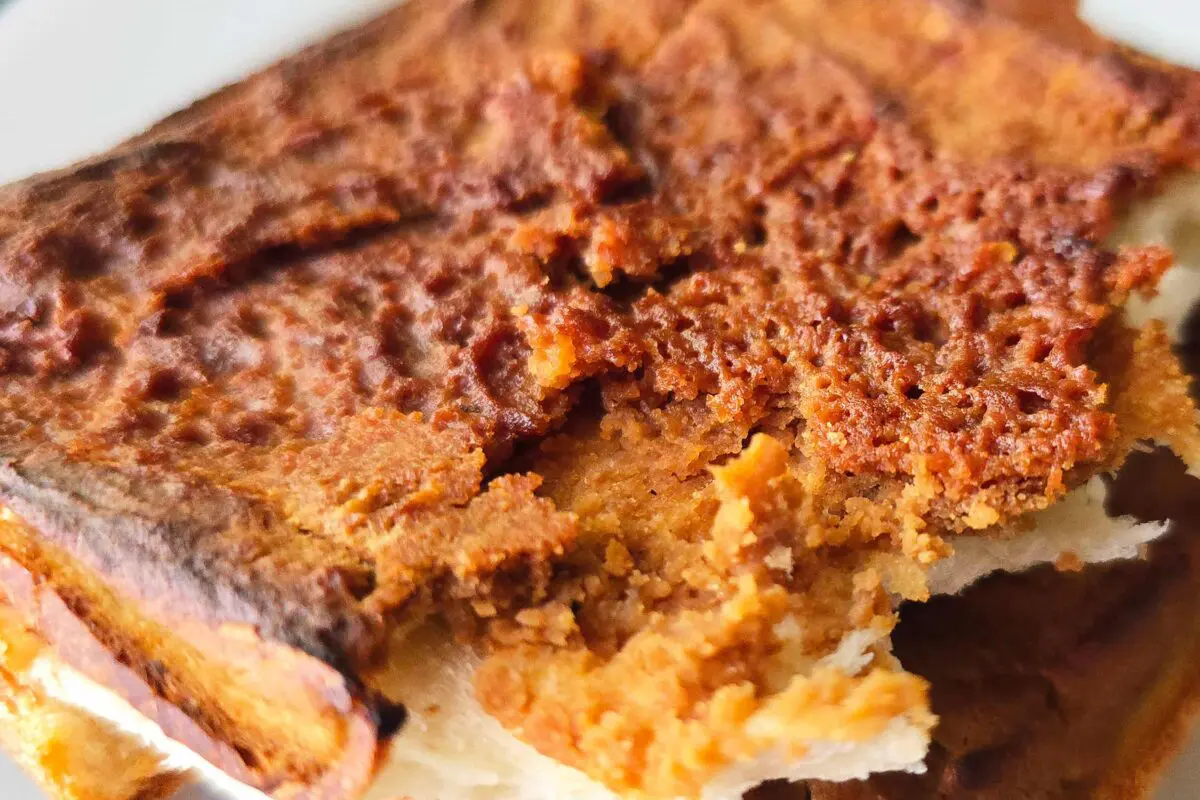 sirabee20250430kinako7