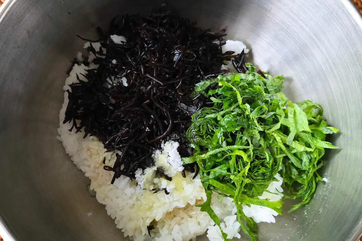 sirabee20250505hijiki2