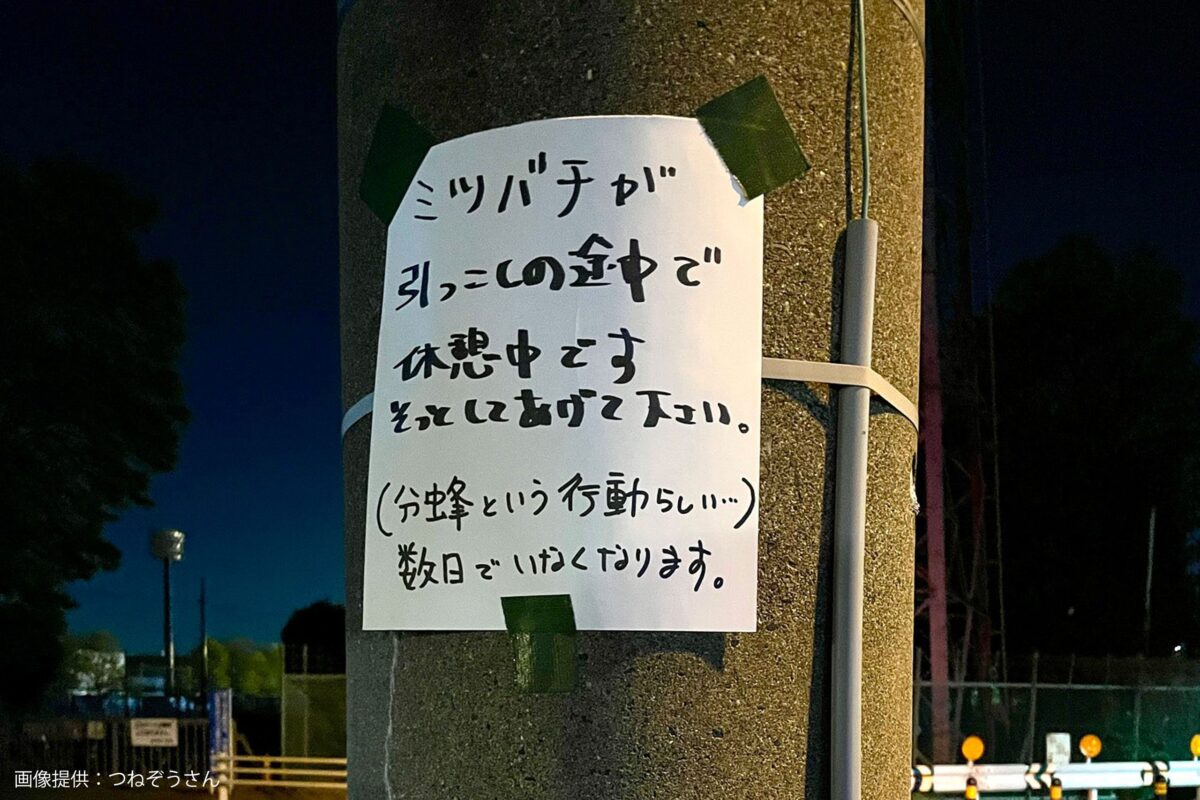 分蜂の張り紙