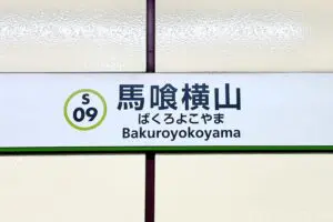 sirabee20250508bakuroyokoyama