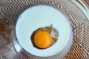 sirabee20250509mochi3