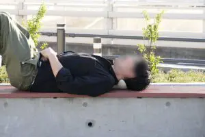 sirabee20250509relaxmakura_daiso3