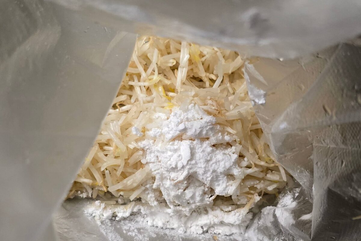 節約もやしバーグ・もやし