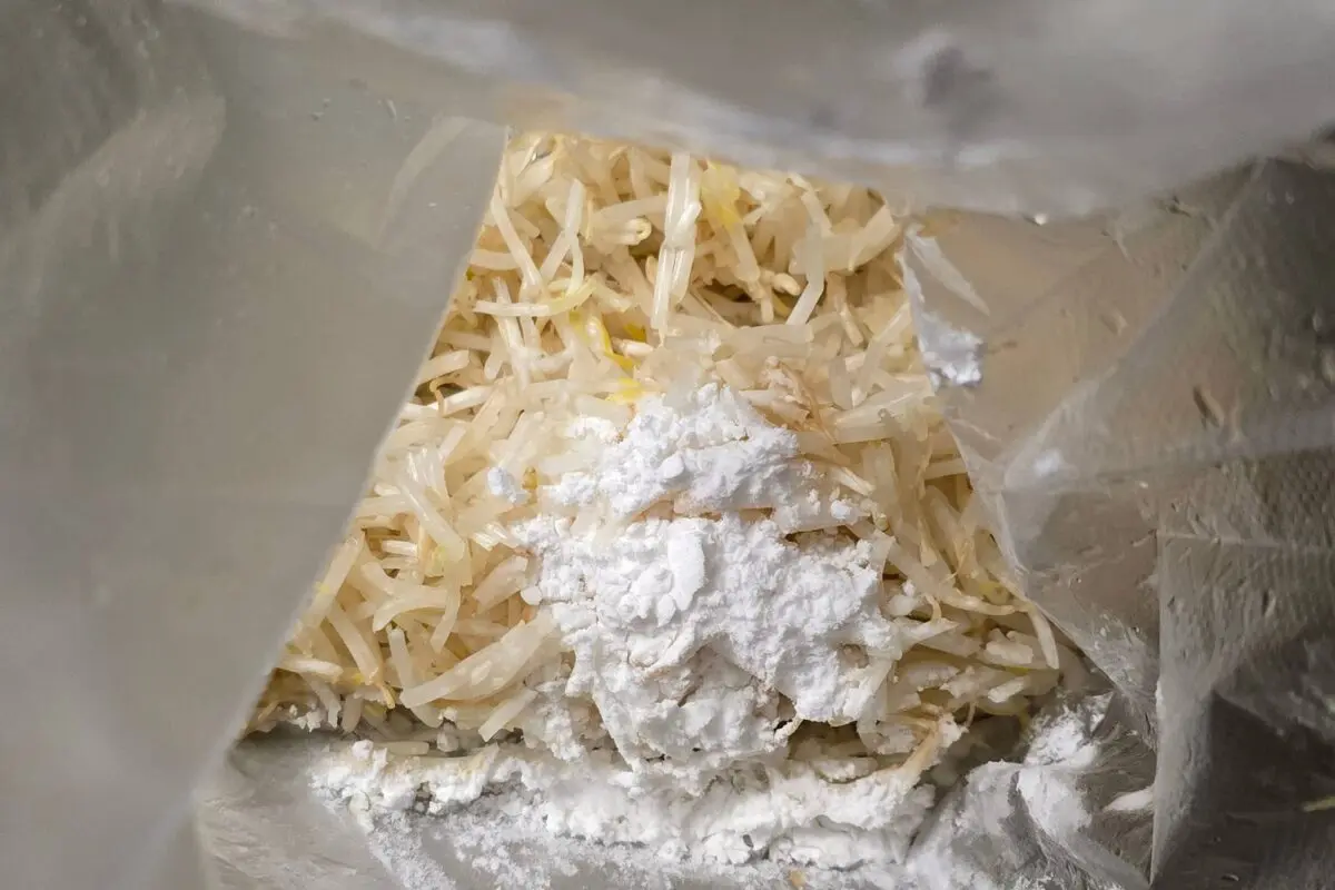 sirabee20250510moyashi2