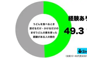 sirabee20250513udon4