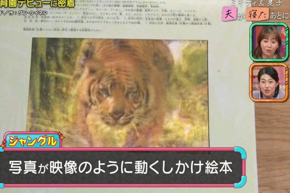 『夫が寝たあとに』