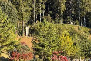 sirabee20250514nagashinoshitaragaharaPA5