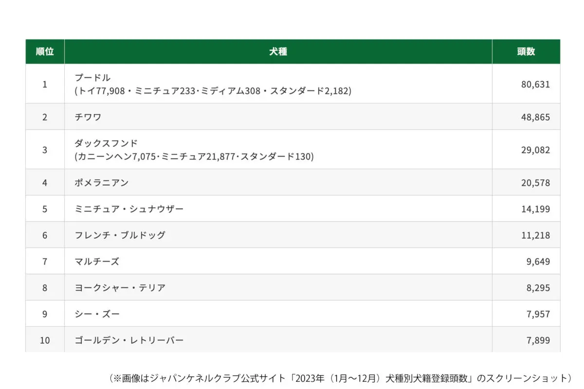 sirabee20250516dog13