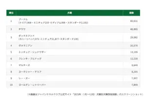 sirabee20250516dog13