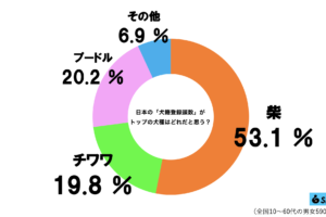 sirabee20250516dog14