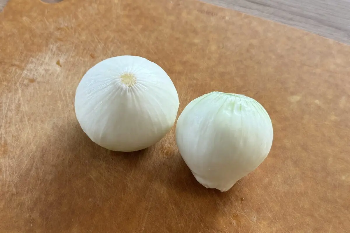 sirabee20250516shintamanegi2