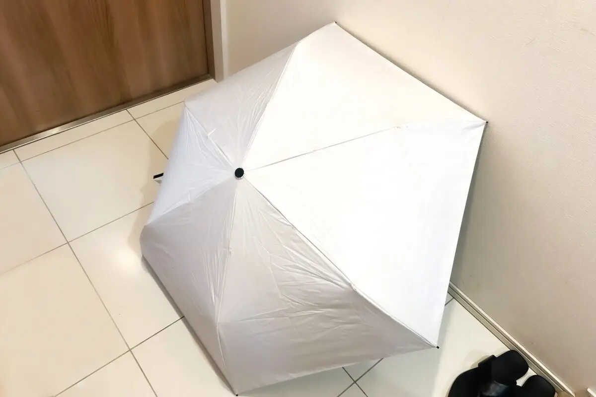 sirabee20250520kasa1