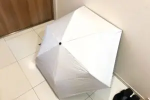 sirabee20250520kasa1