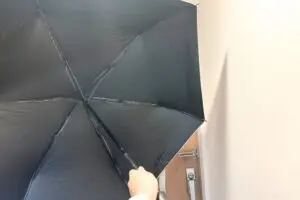 sirabee20250520kasa2