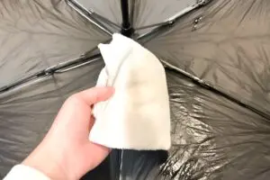 sirabee20250520kasa3