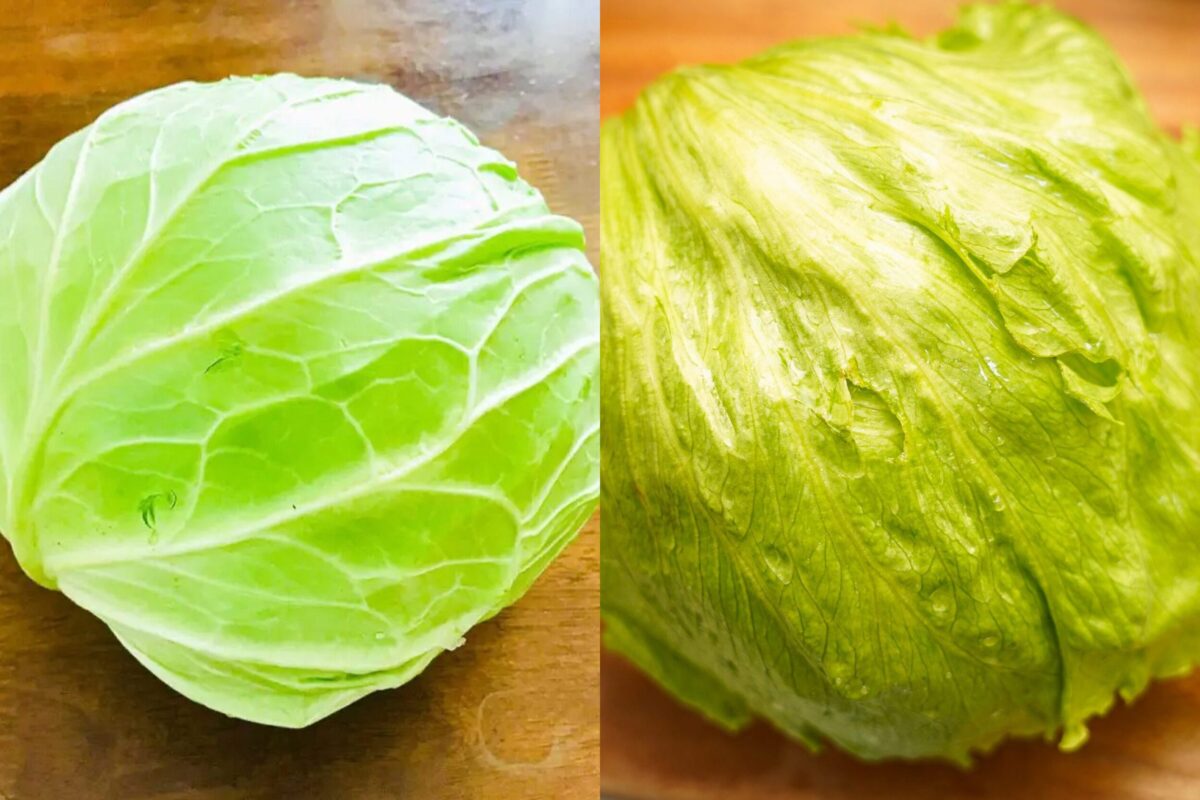 キャベツ・レタス