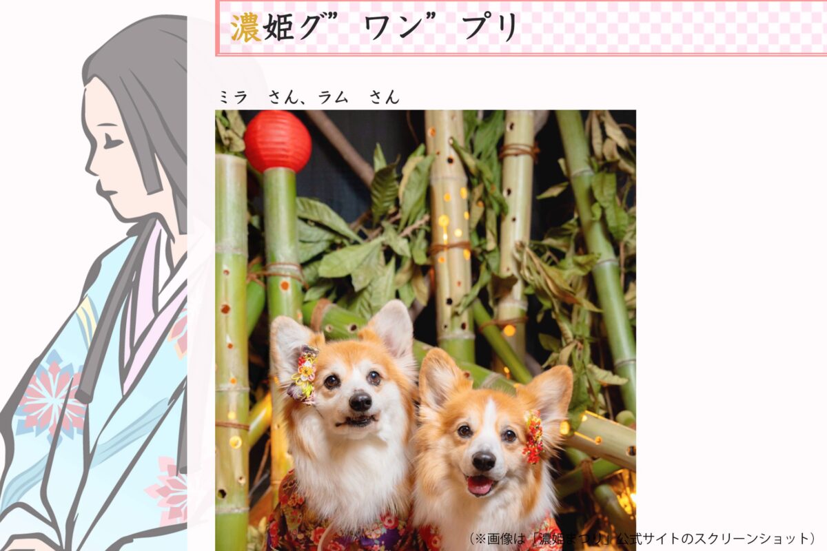 濃姫グワンプリ