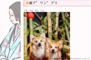 岐阜県のミスコン、なぜか上位に男性と犬が入賞してしまう　「ポリコレの最先端」と話題に…