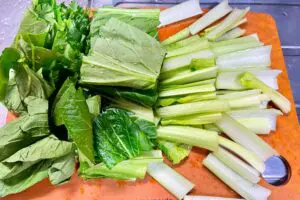 sirabee20250527komatsuna10