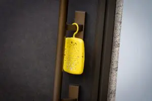 sirabee20250527yamazakijitugyo_mushiyoke1