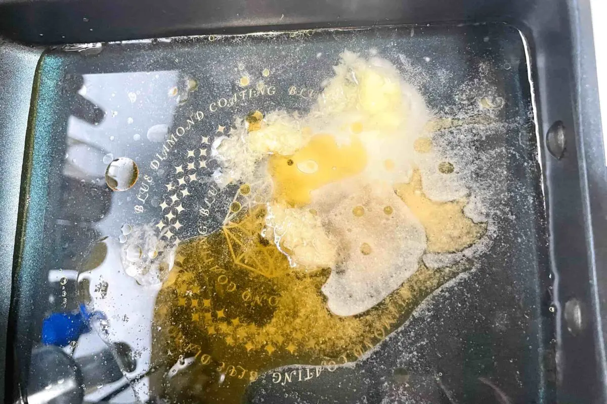 sirabee20250528cabbage8