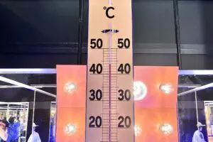 sirabee20250528workman-xshelter4