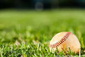 元審判員、球界を襲う“誹謗中傷コメント”に忠告　「草野球してりゃいい」「そう思う」と波紋