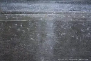 もったいない… 約3割が「雨の日」にやってしまう”傘”にまつわる失敗