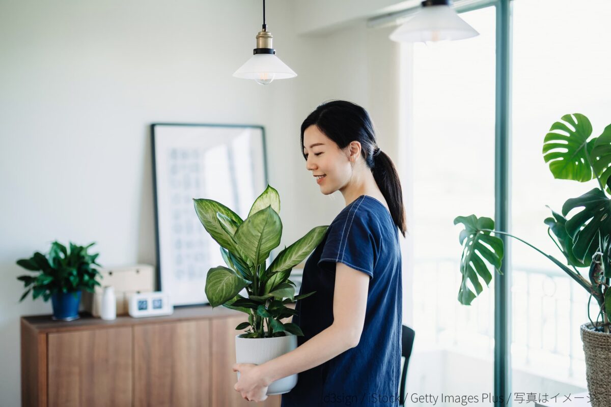 観葉植物と女性